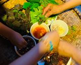 Hình bước làm 15 của món Vào bếp cùng con: thịt lợn gác bếp cuốn rau mọc ven đường Sải Duần, tươi xanh mơn mởn!