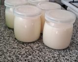 Foto del paso 5 de la receta: Yogur Casero con o sin yogurtera!