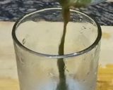 A picture of step 5 of Mint Masala Pepsi 📌.