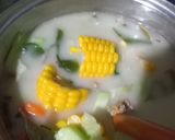 Foto langkah ke 4 dari resep Sayur lodeh bumbu instan.