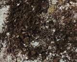 Foto del paso 2 de la receta: BUDÍN 🍊🍋CÍTRICO🍋🍊DE ALGARROBA-AVENA Y H.INTEGRAL 🤩👏🍋🍊👏🥮
