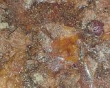 A picture of step 7 of SPECIAL BEEF BIRYANI 😋.