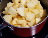 A picture of step 2 of Homemade Applesauce.