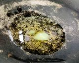 દાલ પાલક (Dal Palak Recipe In Gujarati) રેસીપી સ્ટેપ1ફોટો