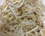 A picture of step 1 of Moong beans sprout salad.