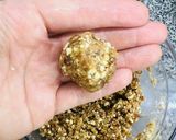 Foto del paso 3 de la receta: Bombones de dátil y frutos secos