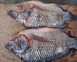 Une image de l'étape 1 de Soupe de Poisson Carpe 🐟 Accompagner de Riz.