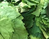 A picture of step 1 of Grape Leaf Preserving Methods.