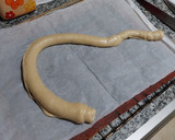 Foto del paso 12 de la receta: Ensaimada v3