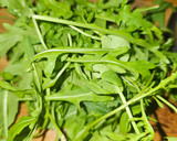 Foto del paso 1 de la receta: Pesto de rúcula y menta