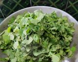 A picture of step 3 of Sunsunia saag (aquatic plants)Fry.