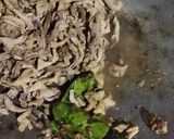 Foto langkah ke 1 dari resep Sate Usus Ayam Bacem.