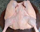 รูปขั้นตอนการทำที่ 4 ของ เป็ดกีต้าร์แบบบ้านๆ (Pipa Duck)