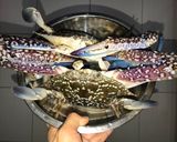 Foto langkah ke 1 dari resep Merebus Kepiting Rajungan🦀.