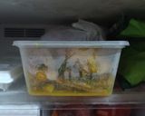 Foto langkah ke 3 dari resep Ayam Ungkep Bumbu Kuning.