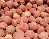 Une image de l'étape 10 de Jus🍹 litchi 🌴.