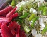 કોબીજ ગાજર અને મરચા નો સંભારો (Cabbage Gajar Marcha Sambharo Recipe In Gujarati) રેસીપી સ્ટેપ1ફોટો
