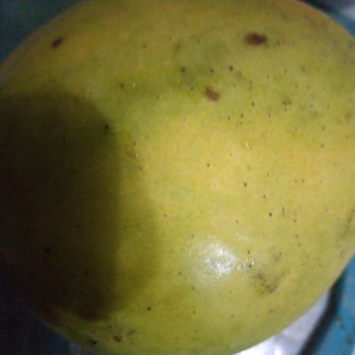 Langkah 1