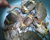 Foto langkah ke 2 dari resep Kepiting Mercon (Saos kari pedas-modified).