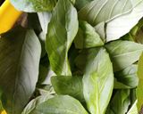 Foto del paso 2 de la receta: Ensalada Caprese