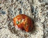 A picture of step 3 of Giant couscous fritters.