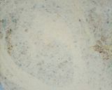 A picture of step 4 of Qeema paratha.