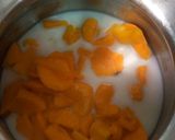 A picture of step 3 of Mango Kulfi.