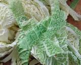 Sig's Savoy Cabbage and Carrot Muddle recipe step 1 photo