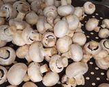 Szaftos 🍄‍🟫🥗Gombás 🍄‍🟫🍄🧄🧅 csirkemelles🧅🌶️🍄 rizottó 🍄🌶️🫑🍄‍🟫 recept fázis 2 fotója
