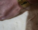 Foto del paso 3 de la receta: Pizza Uruguaya (20)