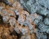 A picture of step 12 of Emerald Spaghetti and Meatballs.