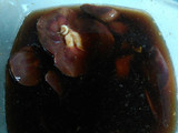 Taco de riñón de res