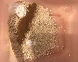 Foto del paso 1 de la receta: Cracker de avena y canela súper saludable, sin harina sin azúcar al microondas