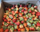 Hình bước làm 1 của món Mứt Dâu