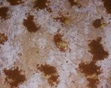 Foto del paso 8 de la receta: Pan de polenta dulce