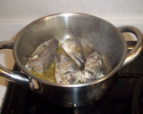 Foto del paso 2 de la receta: Pescadillas con ajos tiernos y gamba pelada