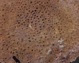 A picture of step 3 of Ragi Dosa.
