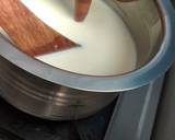 Homemade Mozzarella Cheese recipe step 2 photo