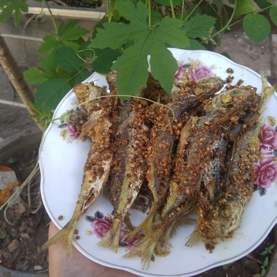 Langkah 3
