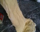 Foto langkah ke 5 dari resep Roti sobek super lembut tanpa ulen.