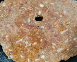 A picture of step 5 of Masala ragi roti.