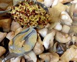 A picture of step 5 of My Garlic Mushroom & Chicken mixed in pasta 😘#Mainmeal.