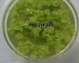 Foto langkah ke 4 dari resep Pudding Lumut.
