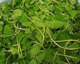 Hình bước làm 1 của món Gỏi rau má trộn bò