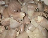 Hình bước làm 4 của món Cháo thịt