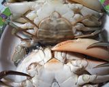 Foto langkah ke 7 dari resep Kepiting Saus Padang Sedap Wangi.