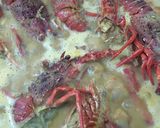Foto langkah ke 6 dari resep Lobster kuah santan 🦞👍.