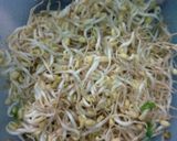 Foto langkah ke 2 dari resep Dadar telur cah toge.