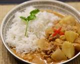 Thai Massaman Chicken Curry recipe step 5 photo
