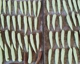Foto langkah ke 7 dari resep Kue Ulat Sagu.